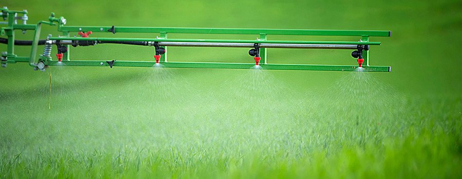 roundup-900-350